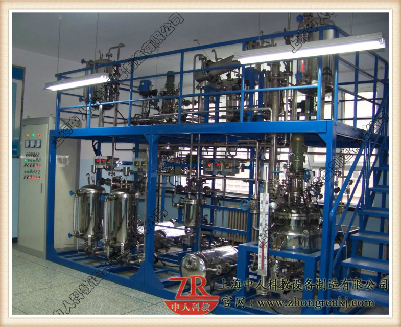 反映釜体系(间歇反映中试装配)